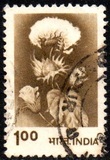 [Agriculture, type XR]