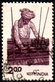 [Agriculture, typ YS]