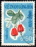 [Fruits, type DA]
