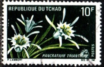 [Flowers, Typ HF]