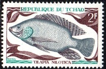 [Peces., tipo HO]