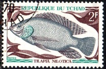 [Fish, type HO]