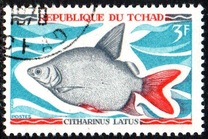 [Fish, type HP]