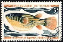 [Fish, type HQ]