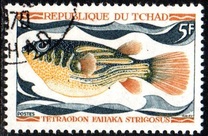 [Fish, type HQ]
