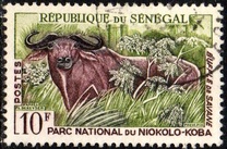 [Animals from the Niokolo-Koba National Park, type BV]
