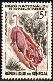 [Animals from the Niokolo-Koba National Park, type BW]