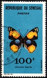 [Butterflies, 類型 DC]