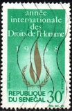 [International Human Rights Year, タイプ GV]