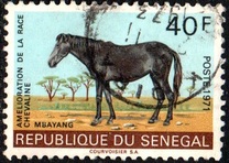 [Horse-breeding Improvement Campaign, Tip JU]