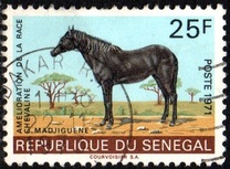 [Horse-breeding Improvement Campaign, 유형 KE]