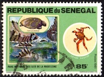 [National Parks, סוג VD]
