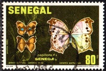 [Butterflies, տեսակ VS]
