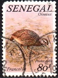 [Birds, Tip WF]