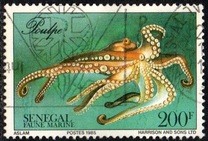 [Marine Life, type AAW]