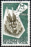 [Animal Masks, type O2]