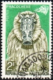 [Animal Masks, type P1]
