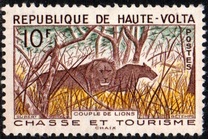 [Hunting and Tourism, тып AJ]