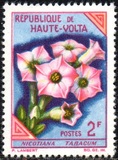 [Flowers, type BC]