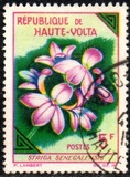 [Flowers, type BE]