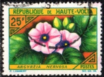 [Flowers, type BJ]