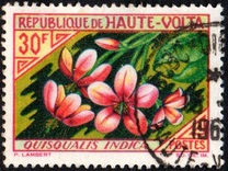 [Flowers, type BK]