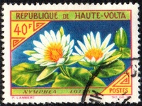 [Flowers, type BL]