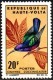 [Birds, tegund CK]