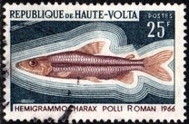 [Fish, type GR]
