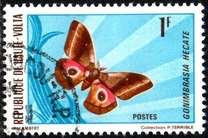 [Butterflies, type IY]