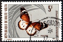 [Butterflies, type JB]