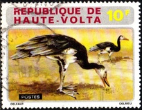 [Domestic Animals, tegund LP]