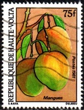 [Fruits, type ABG]
