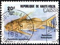 [Fishery Resources, type ADF]