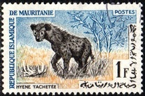 [Animals, type CM]