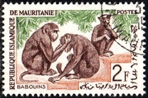 [Animals, type CO]