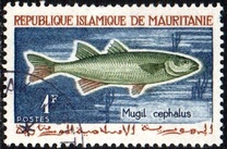 [Fishing, тип DR]