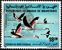 [Birds of Banc d'Arguin National Park, type VK]