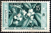 [Coffee Bush, tyyppi BH]
