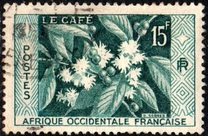 [Coffee Bush, tyyppi BH]