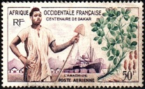 [The 100th Anniversary of Dakar, Tip BR]