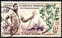 [The 100th Anniversary of Dakar, Tip BR]