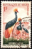 [Animal Protection, type A]