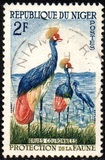[Animal Protection, type A1]