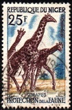 [Animal Protection, type D]