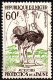 [Animal Protection, type E1]