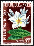 [Flowers, タイプ BZ]