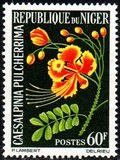 [Flowers, タイプ CB]