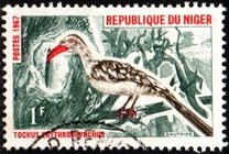 [Birds, Tipi EF]
