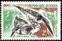 [Birds, Tipi EG]